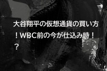 大谷翔平の仮想通貨の買い方!WBC前の今が仕込み時!?