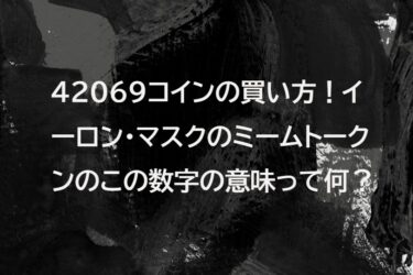 42069コインの買い方！イーロン・マスクのミームトークンのこの数字の意味って何？