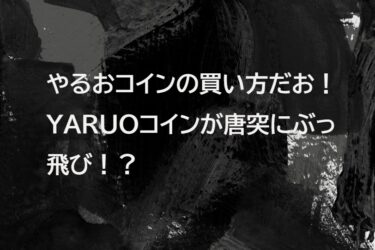 やるおコインの買い方だお！YARUOコインが唐突にぶっ飛び！？